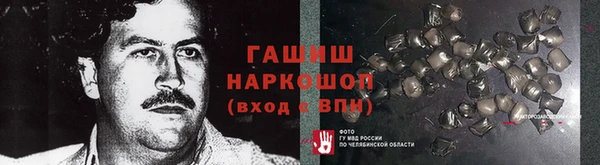 гашик Алексин