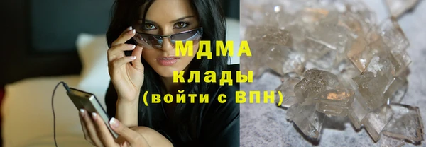 гашик Алексин