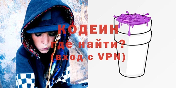 гашик Алексин