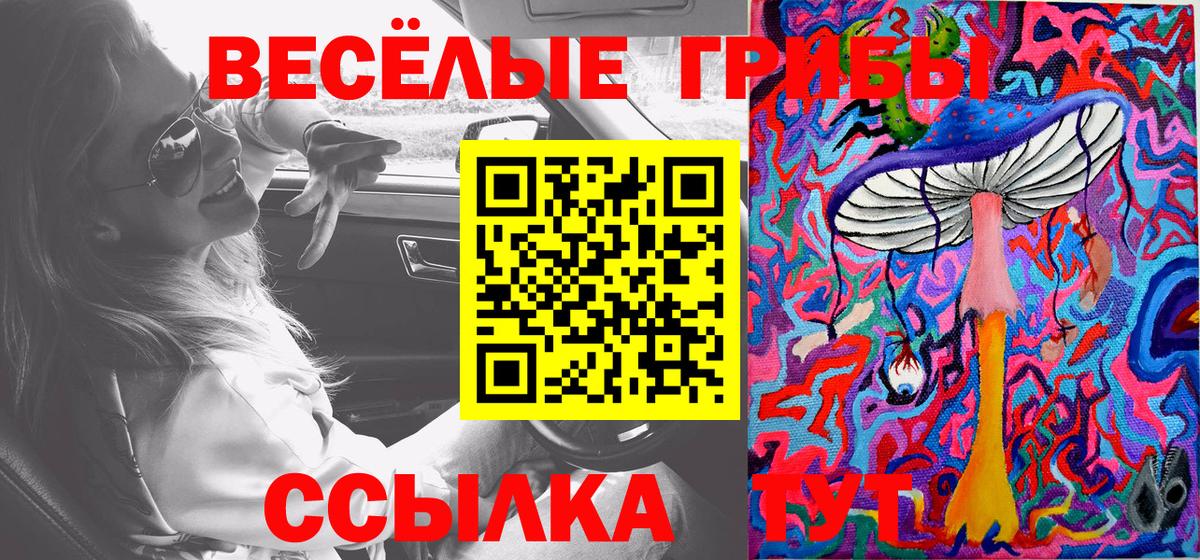 Галлюциногенные грибы Psilocybe  Вход с VPN  Новошахтинск 