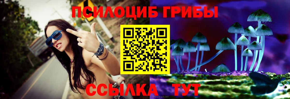 Галлюциногенные грибы мицелий Новошахтинск